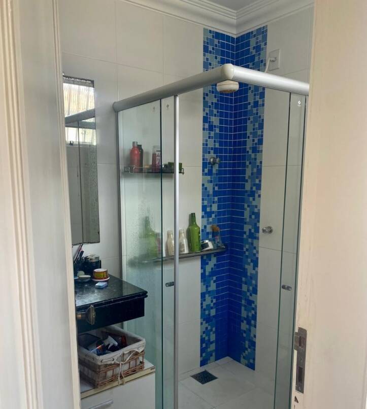 Casa, 4 quartos, 270 m² - Foto 4