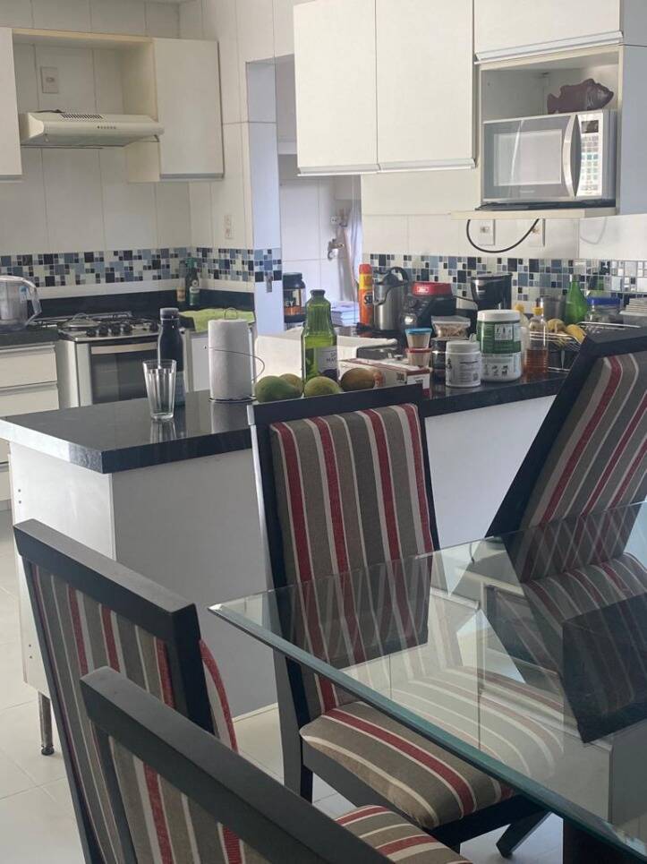 Casa, 4 quartos, 270 m² - Foto 10