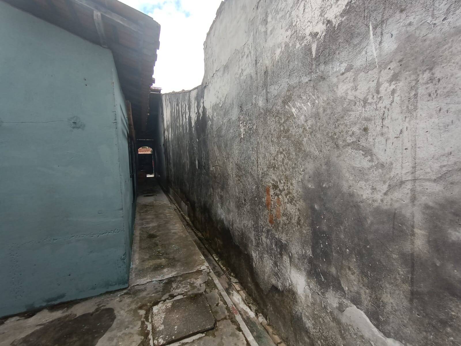 Casa, 3 quartos - Foto 29