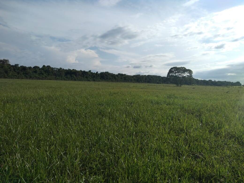 Casa, 3 quartos, 170 m² - Foto 3