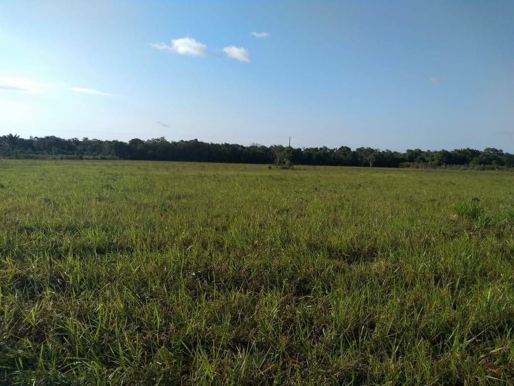 Casa, 3 quartos, 170 m² - Foto 4