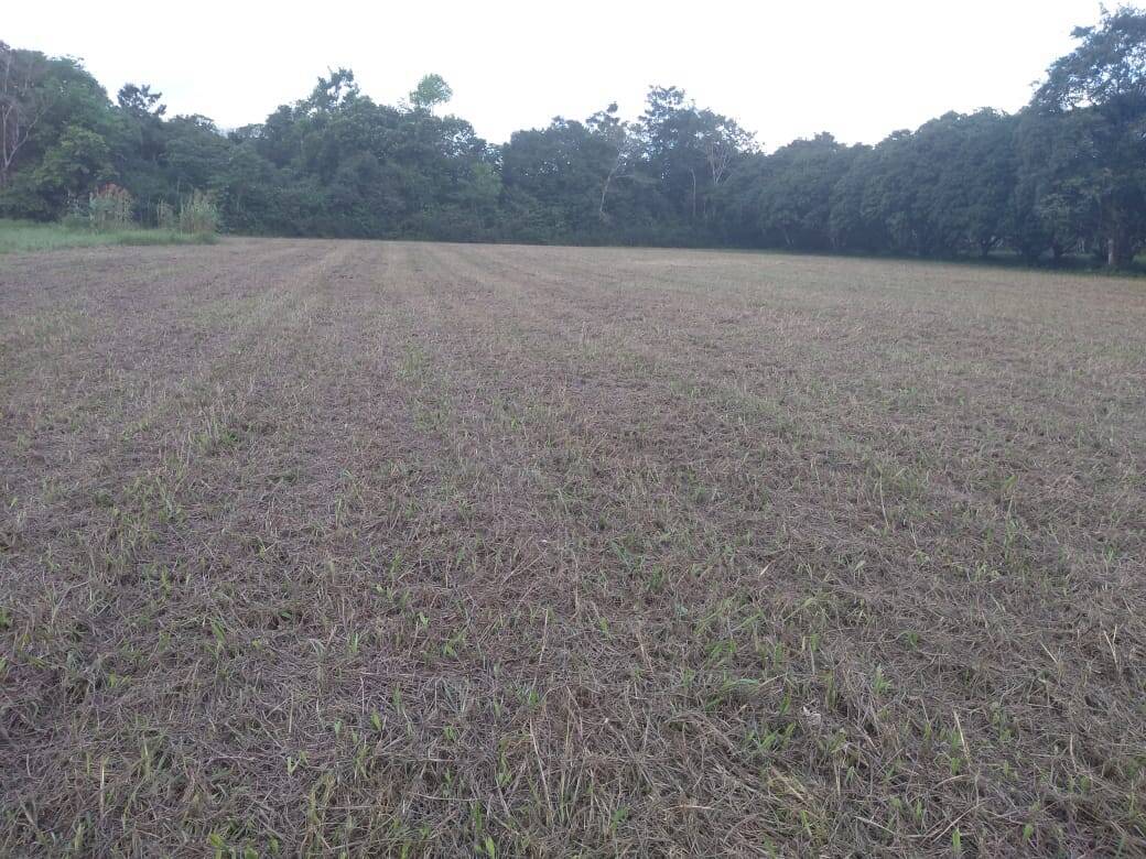 Casa, 3 quartos, 170 m² - Foto 7