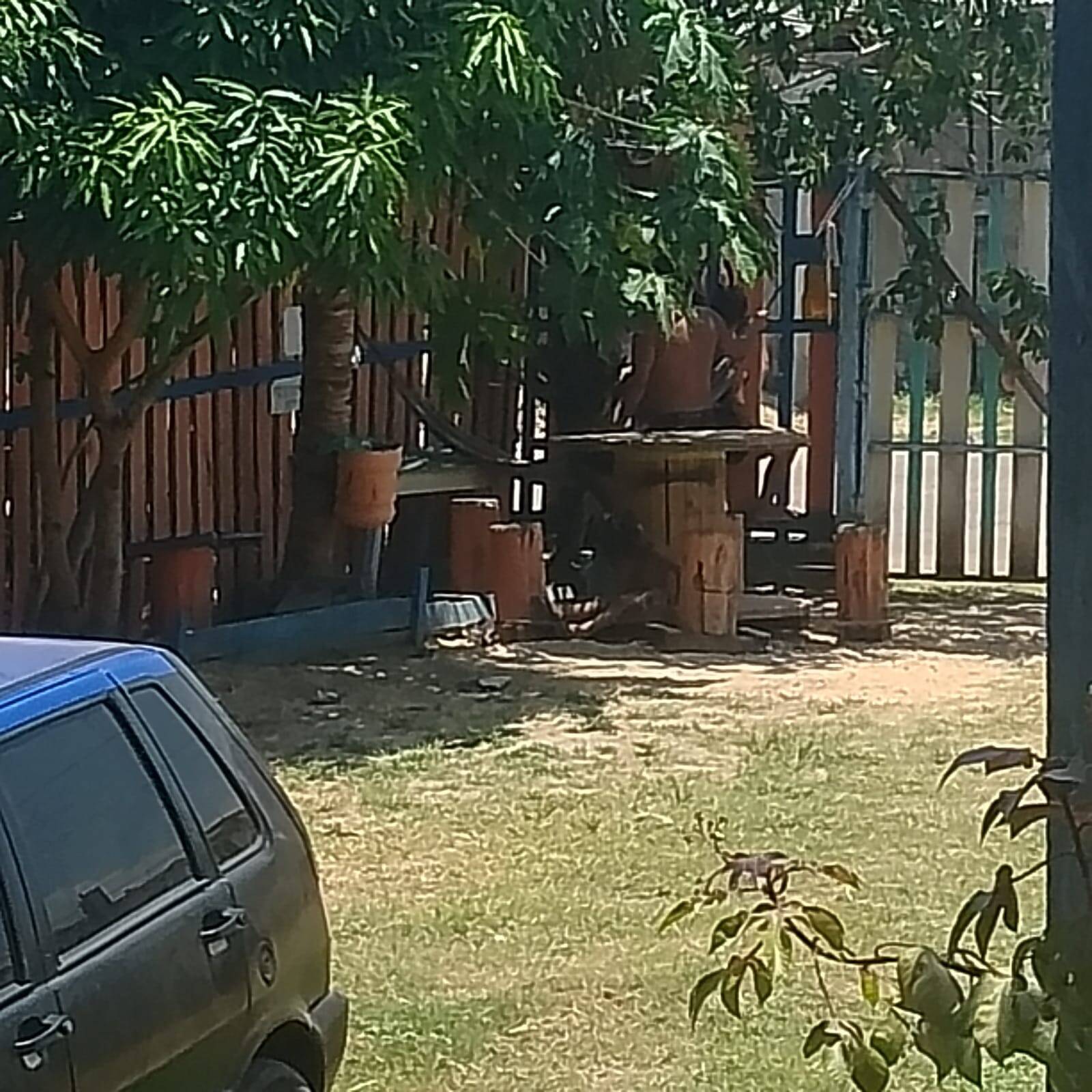 Casa, 14 quartos - Foto 4