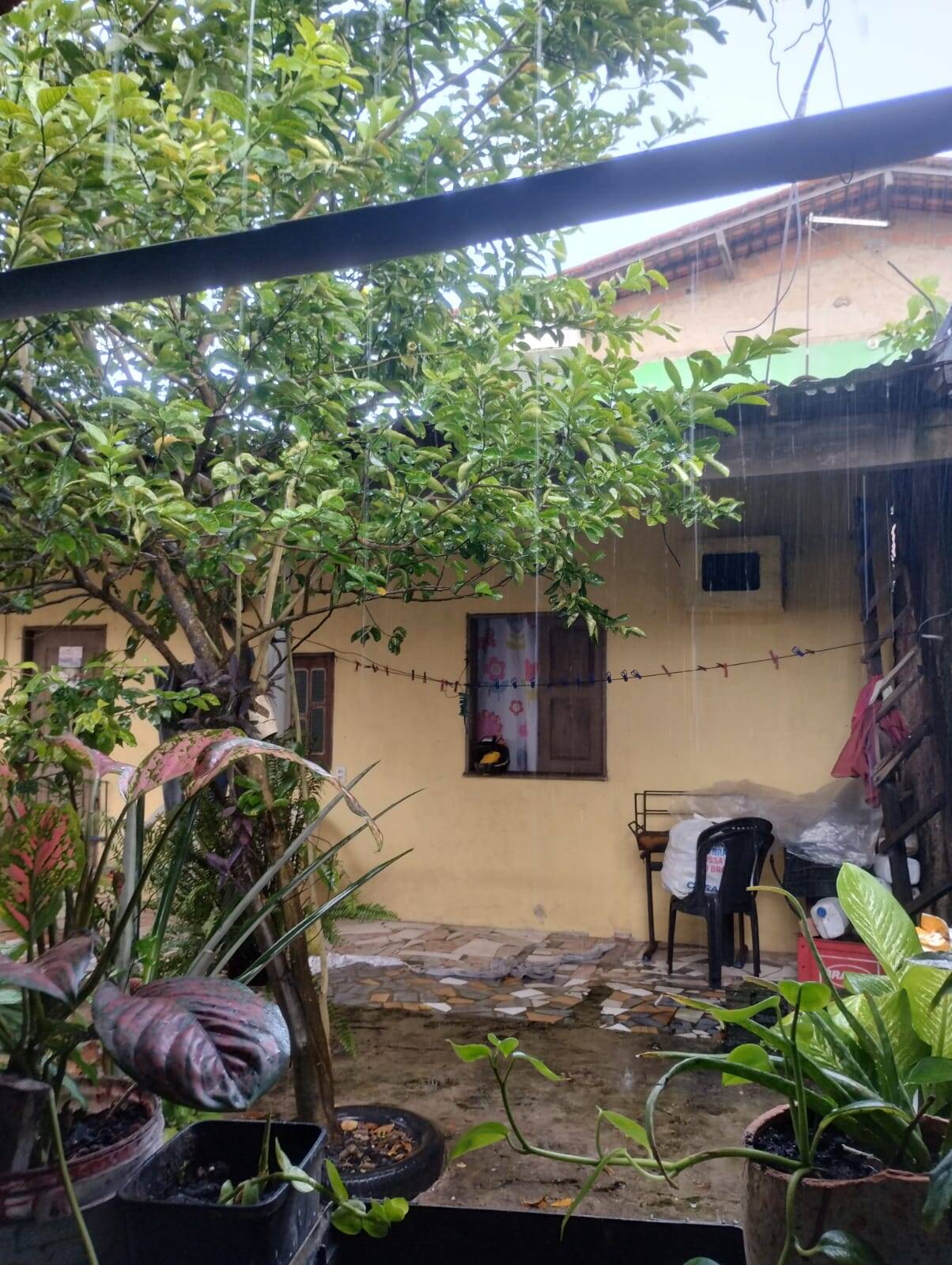 Casa, 3 quartos, 12535 m² - Foto 12