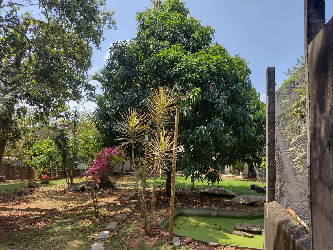 Casa, 3 quartos, 480 m² - Foto 17