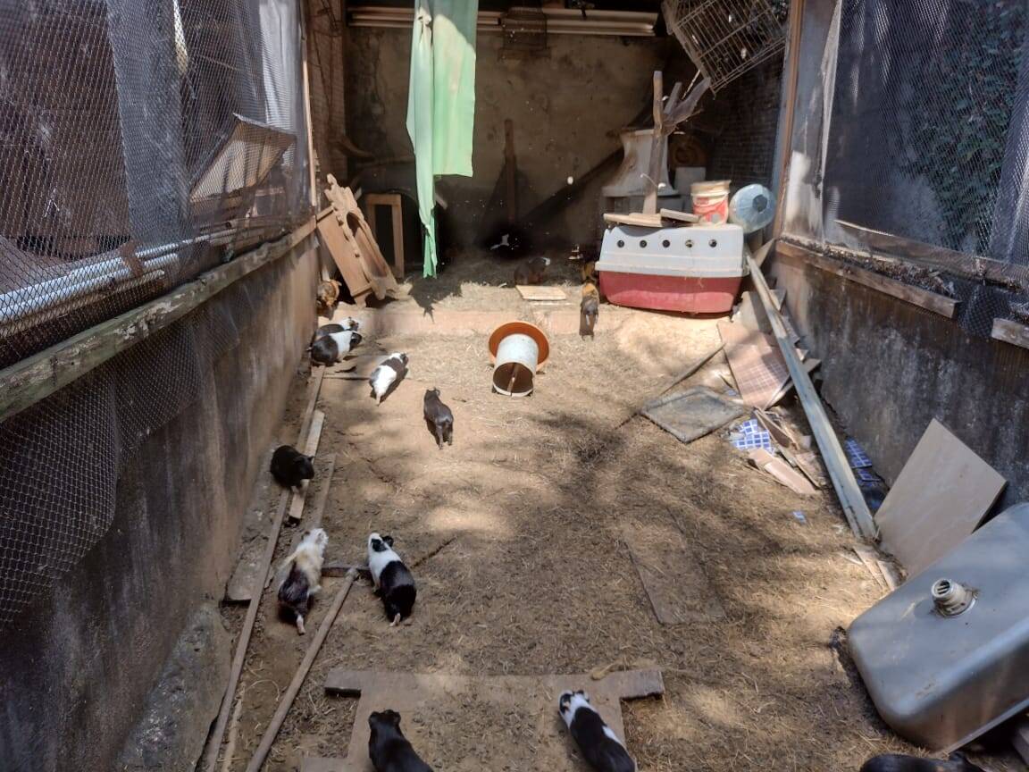 Casa, 3 quartos, 480 m² - Foto 18