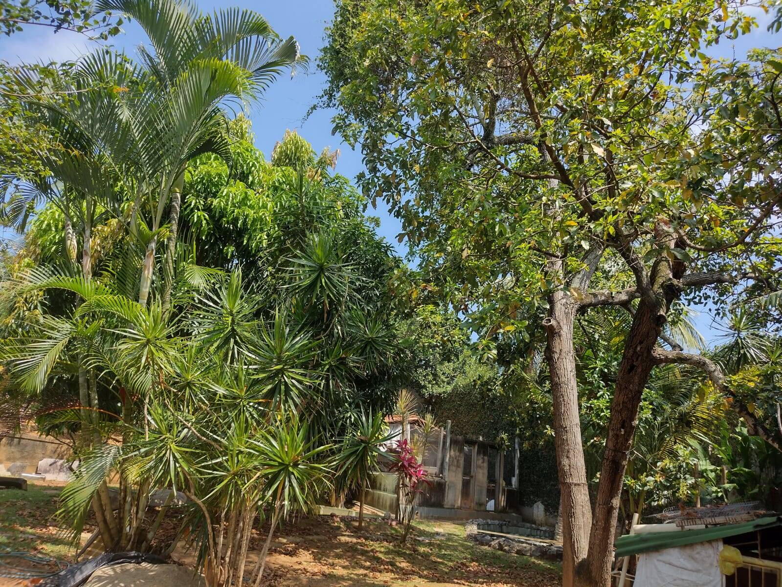 Casa, 3 quartos, 480 m² - Foto 21