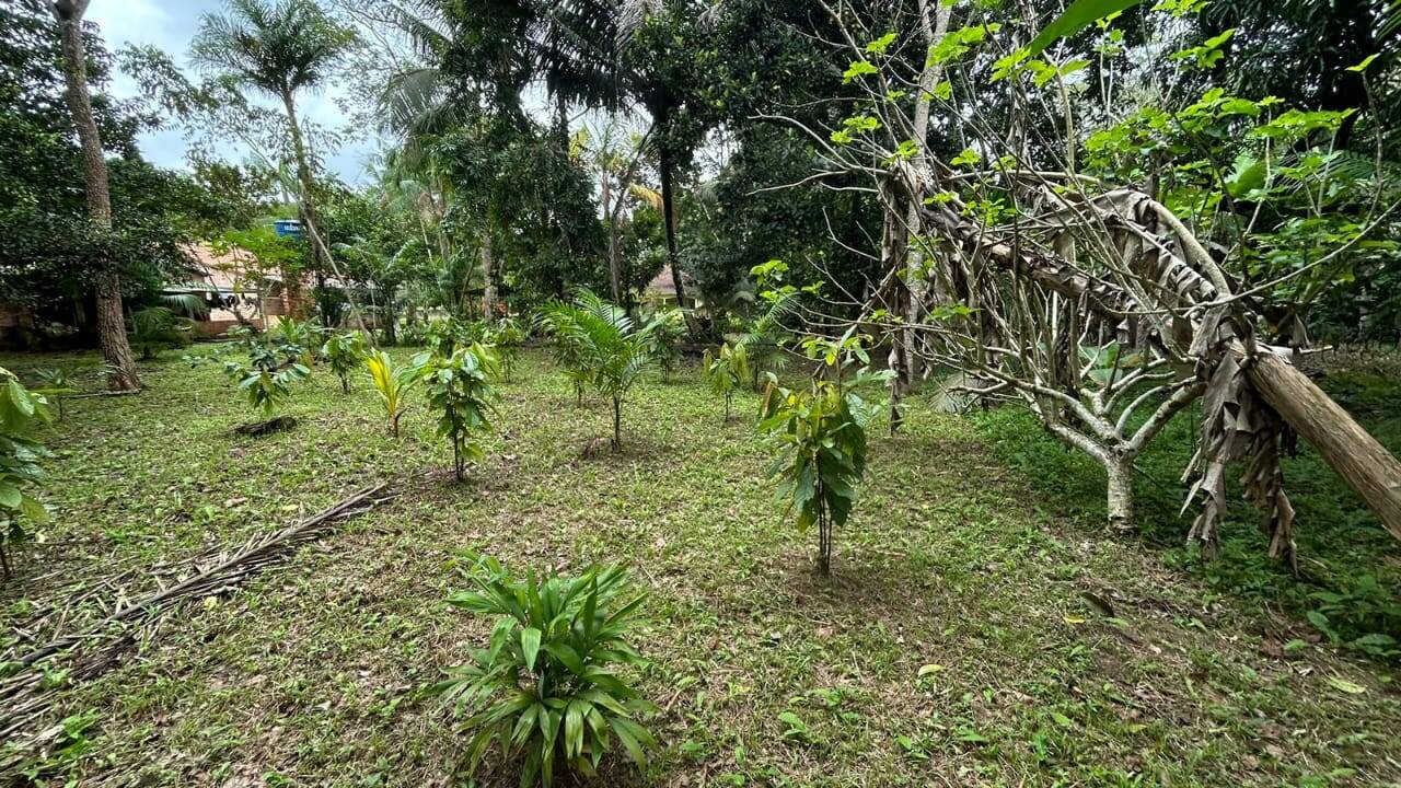 Casa, 4 quartos - Foto 6