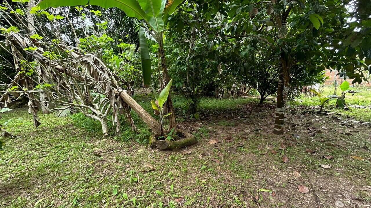 Casa, 4 quartos - Foto 11