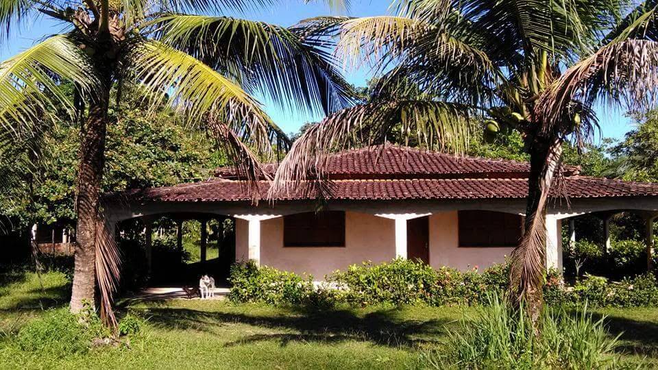 Casa, 4 quartos - Foto 10