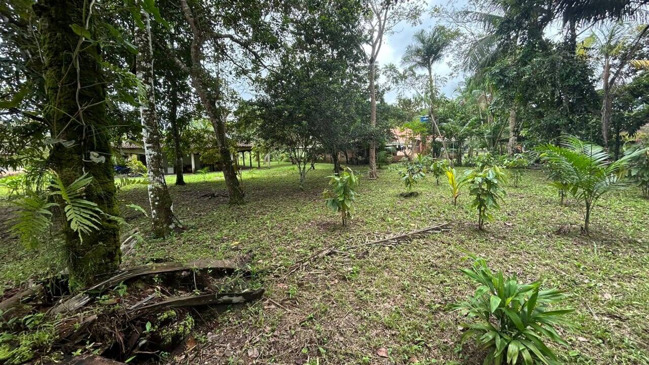 Casa, 4 quartos - Foto 12