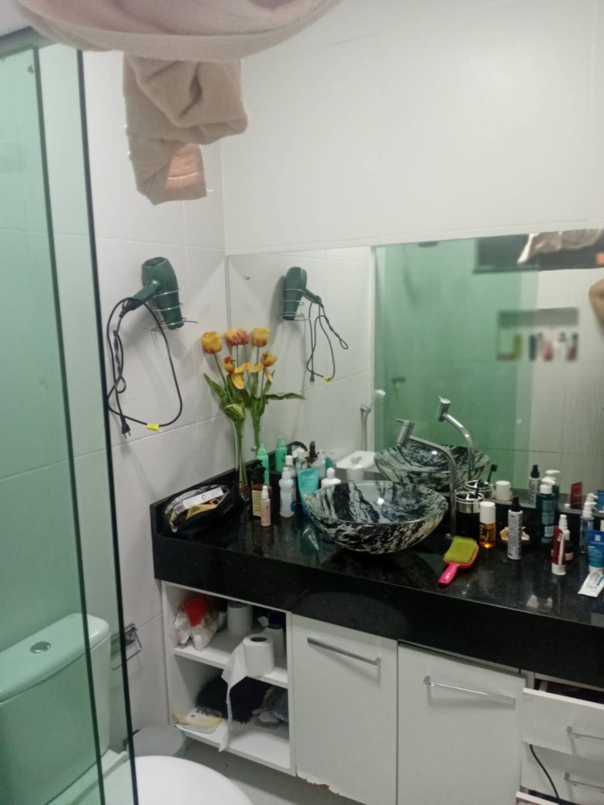 Casa, 6 quartos, 316 m² - Foto 47