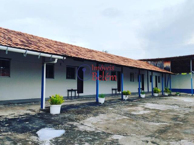 Estabelecimento para Venda em Salinópolis - 5
