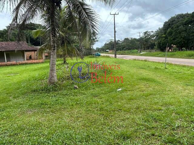 Casa para Venda em Vigia - 5