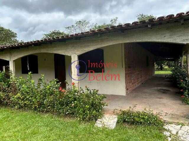 Casa para Venda em Vigia - 4